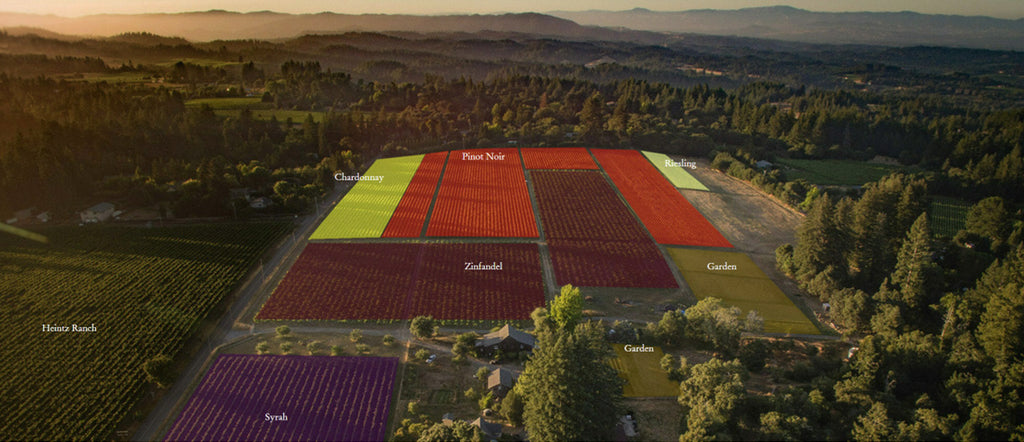 Aerial view of a farm with different colored plots labeled with crop names.